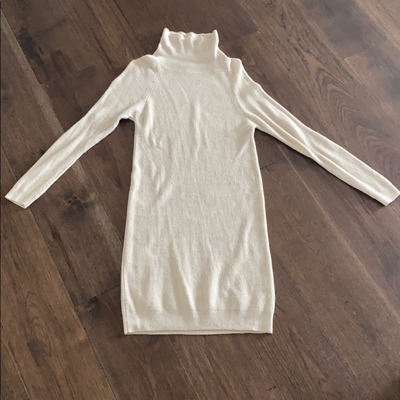 Sunday Best Dresses & Skirts - Aritzia knit turtle neck dress